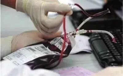 血袋号是什么你知道采血袋上贴的采血序列号有什么作用吗？小小一张贴纸却十分重要！_https://www.jmylbn.com_新闻资讯_第10张