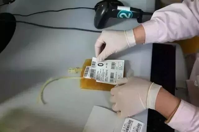 血袋号是什么你知道采血袋上贴的采血序列号有什么作用吗？小小一张贴纸却十分重要！_https://www.jmylbn.com_新闻资讯_第11张