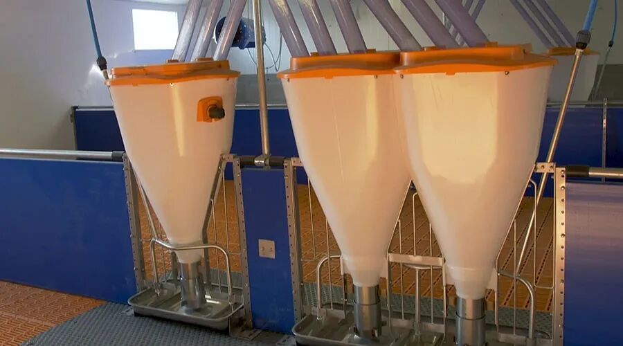 WeChat Image_20210816134929.jpg