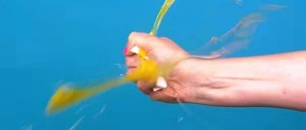 「撕B」和「扯蛋」，究竟哪个更疼？