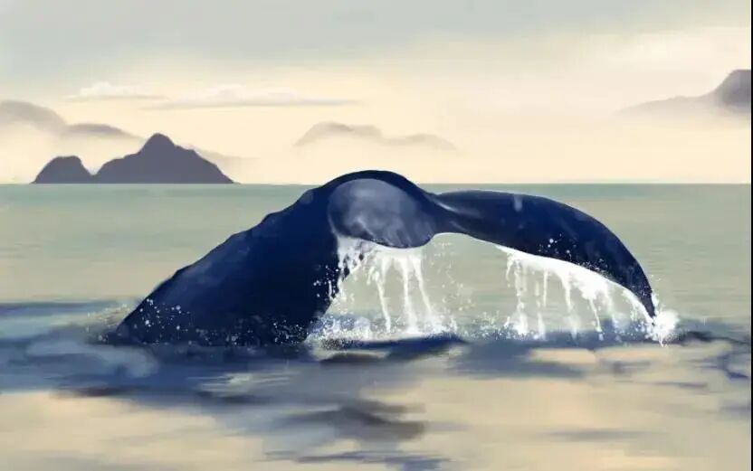 640?wx_fmt=jpeg&tp=webp&wxfrom=5&wx_lazy=1&wx_co=1