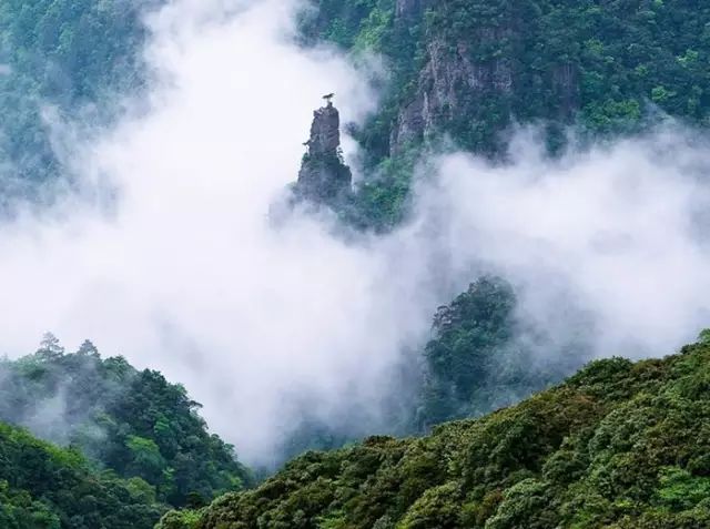 貴州那麼美，不去一次多可惜！ 旅行 第46張