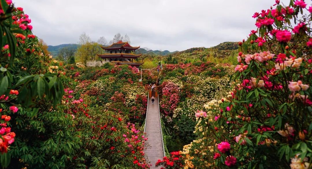 中國第一條旅遊高鐵正式通車！穿過400餘個4A級以上景區，好玩好看還好吃！ 旅遊 第51張