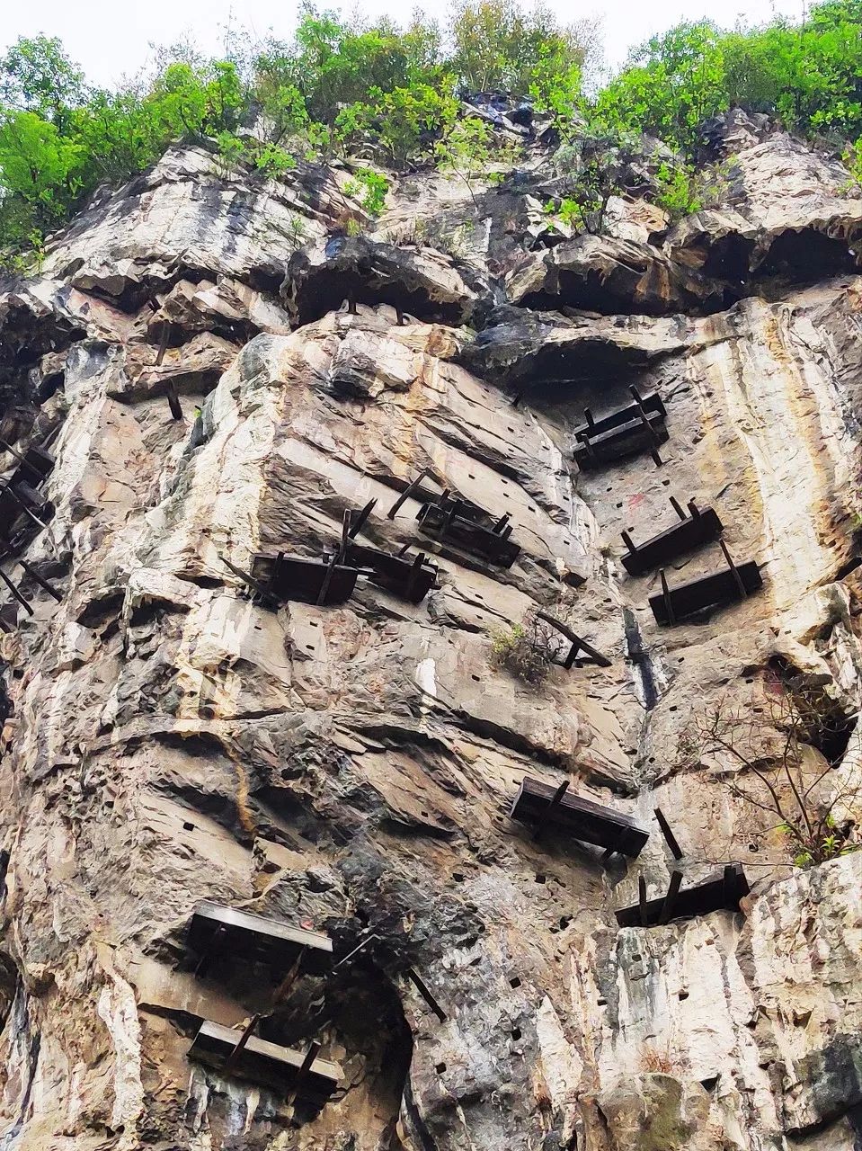 中國第一條旅遊高鐵正式通車！穿過400餘個4A級以上景區，好玩好看還好吃！ 旅遊 第48張