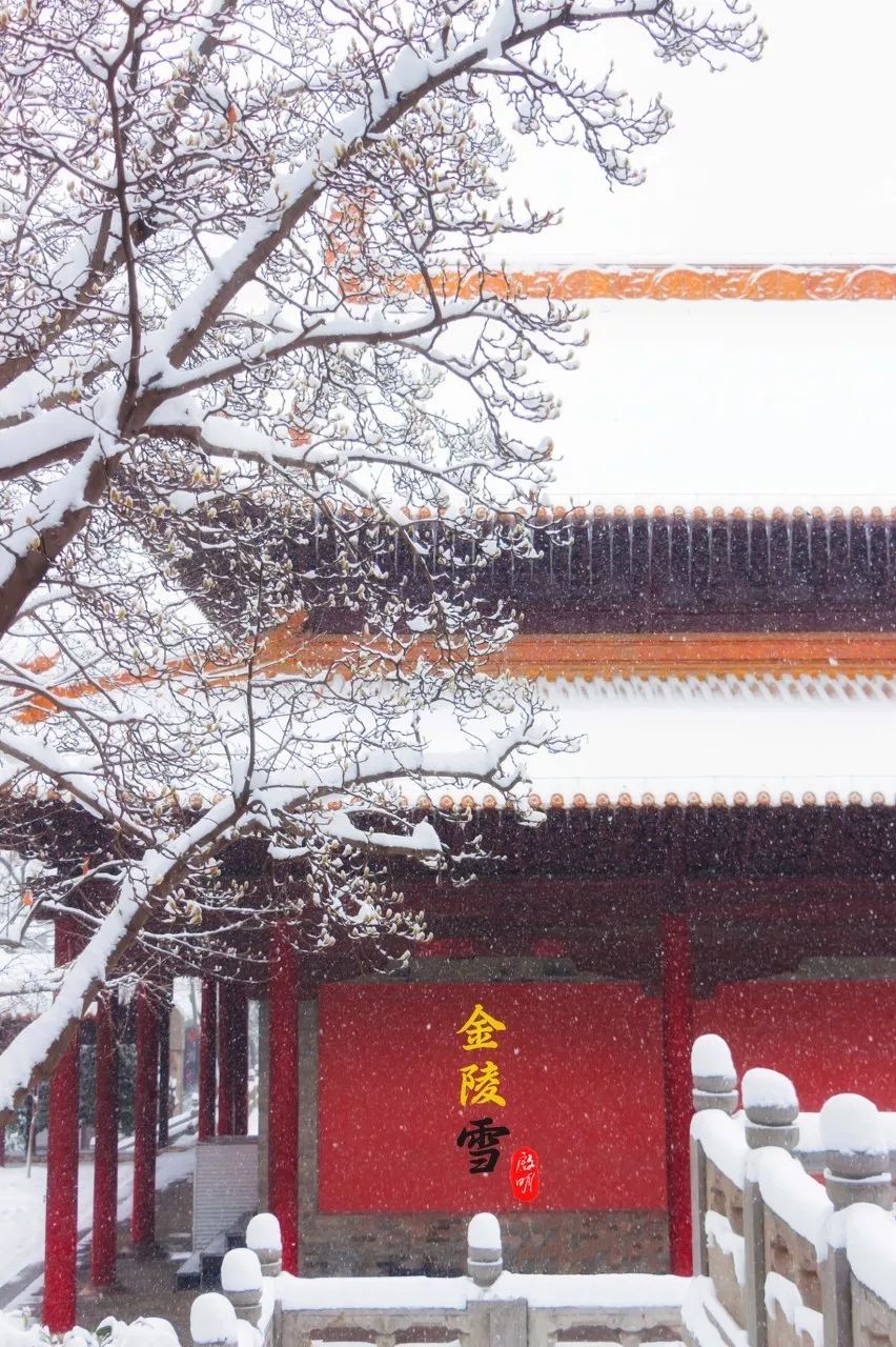 中國最美的25種雪！ 旅遊 第7張