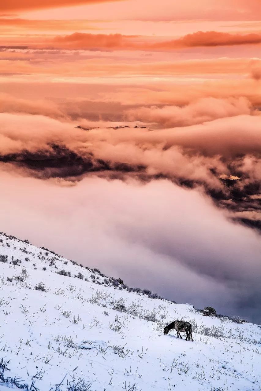 中國最美的25種雪！ 旅遊 第20張