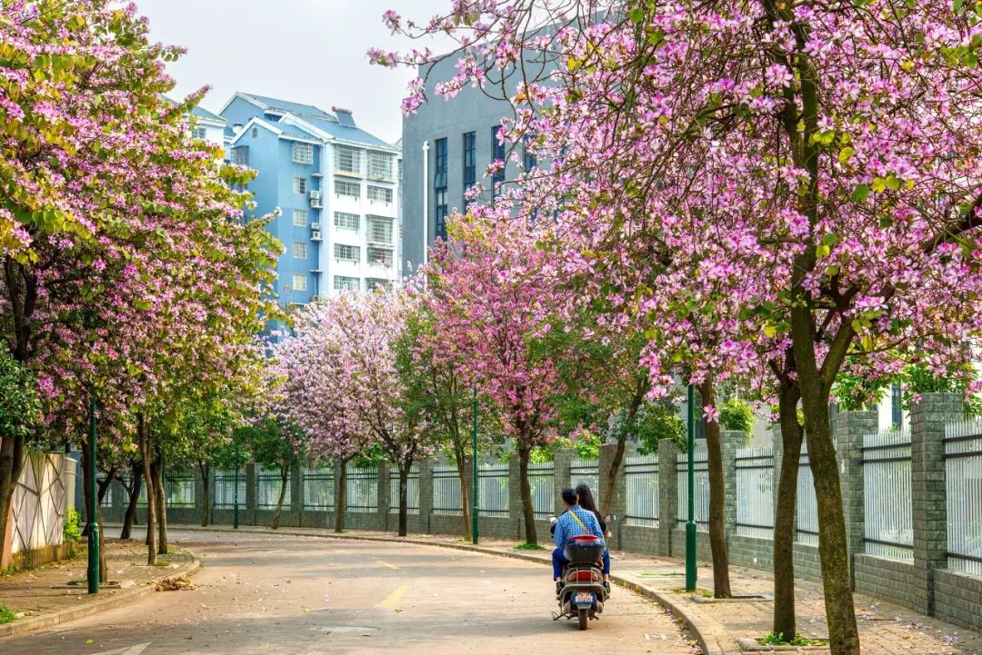 4月最適合小住三五天的12個絕美地，再忙也值得你挑一個去發呆！ 旅遊 第55張