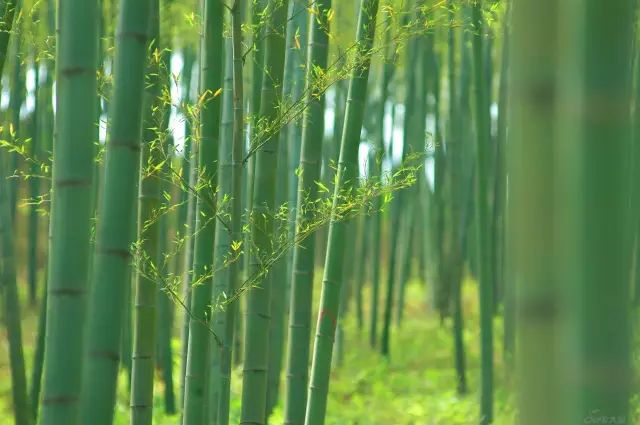 江蘇溧陽，不輸蘇杭！ 旅遊 第14張