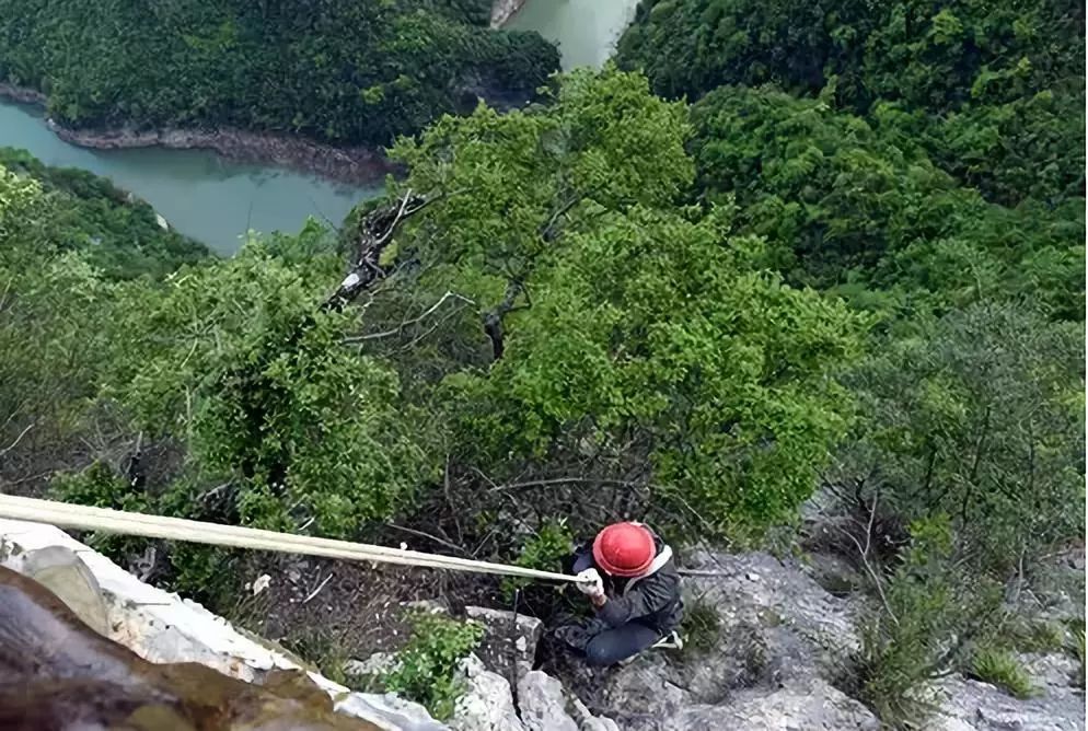 國內這些人間天堂相繼關閉，背後的原因令人心酸！ 旅行 第99張