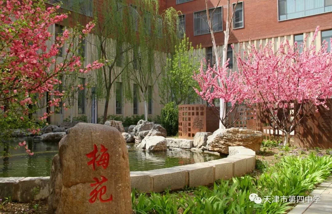 天津市第四中學(xué)制式校服_天津四中自立中學(xué)校服_天津四中校服