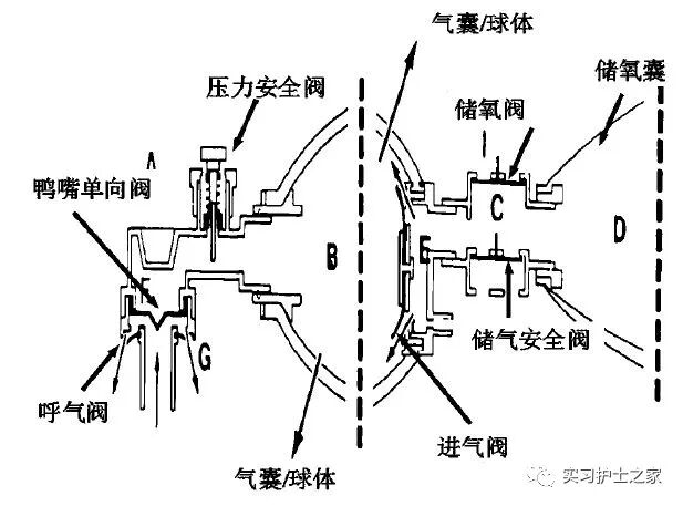 氧气袋怎么没压力抱球---简易呼吸器的使用_https://www.jmylbn.com_新闻资讯_第2张