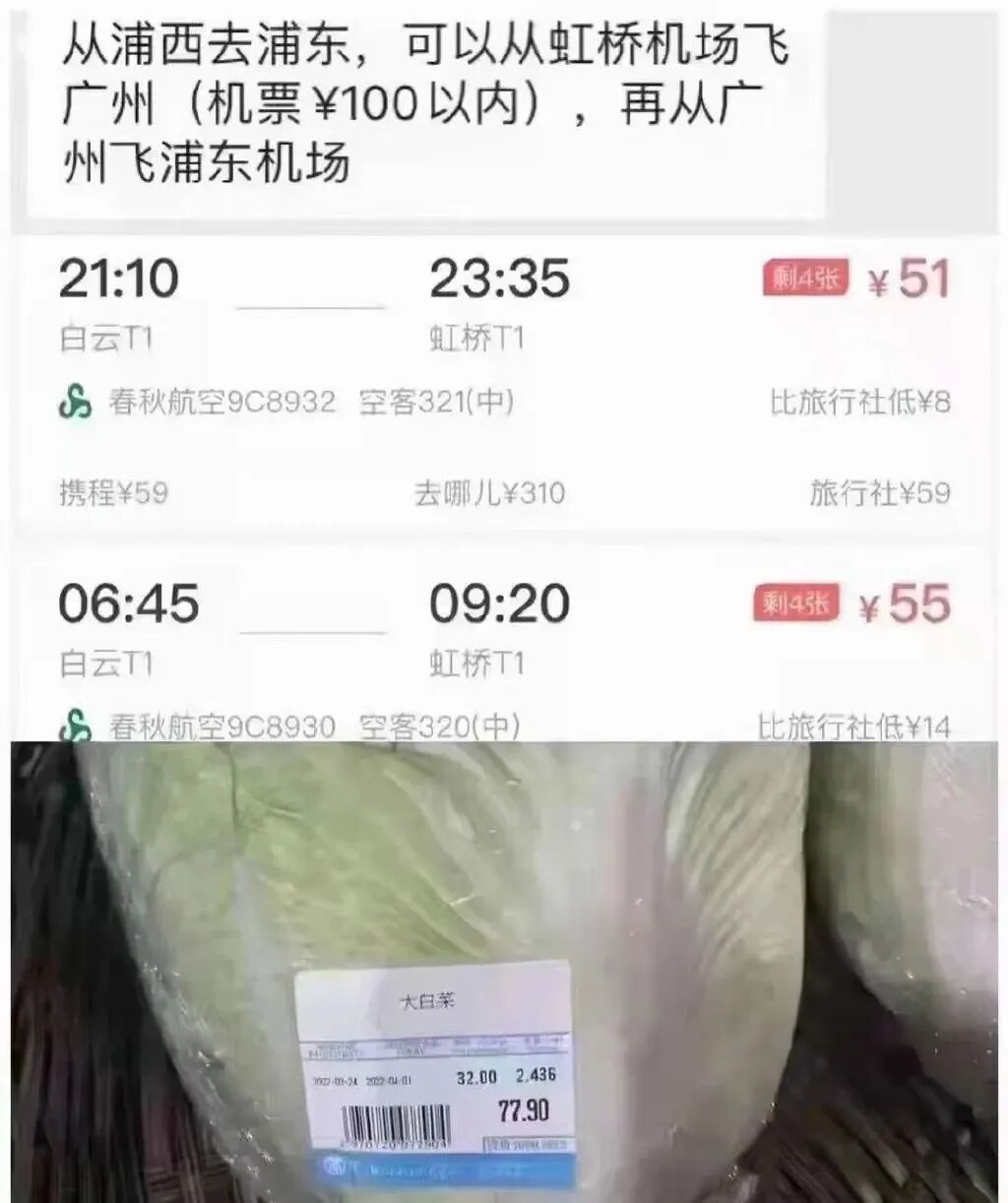 全网最会整活网站，内容太震撼！