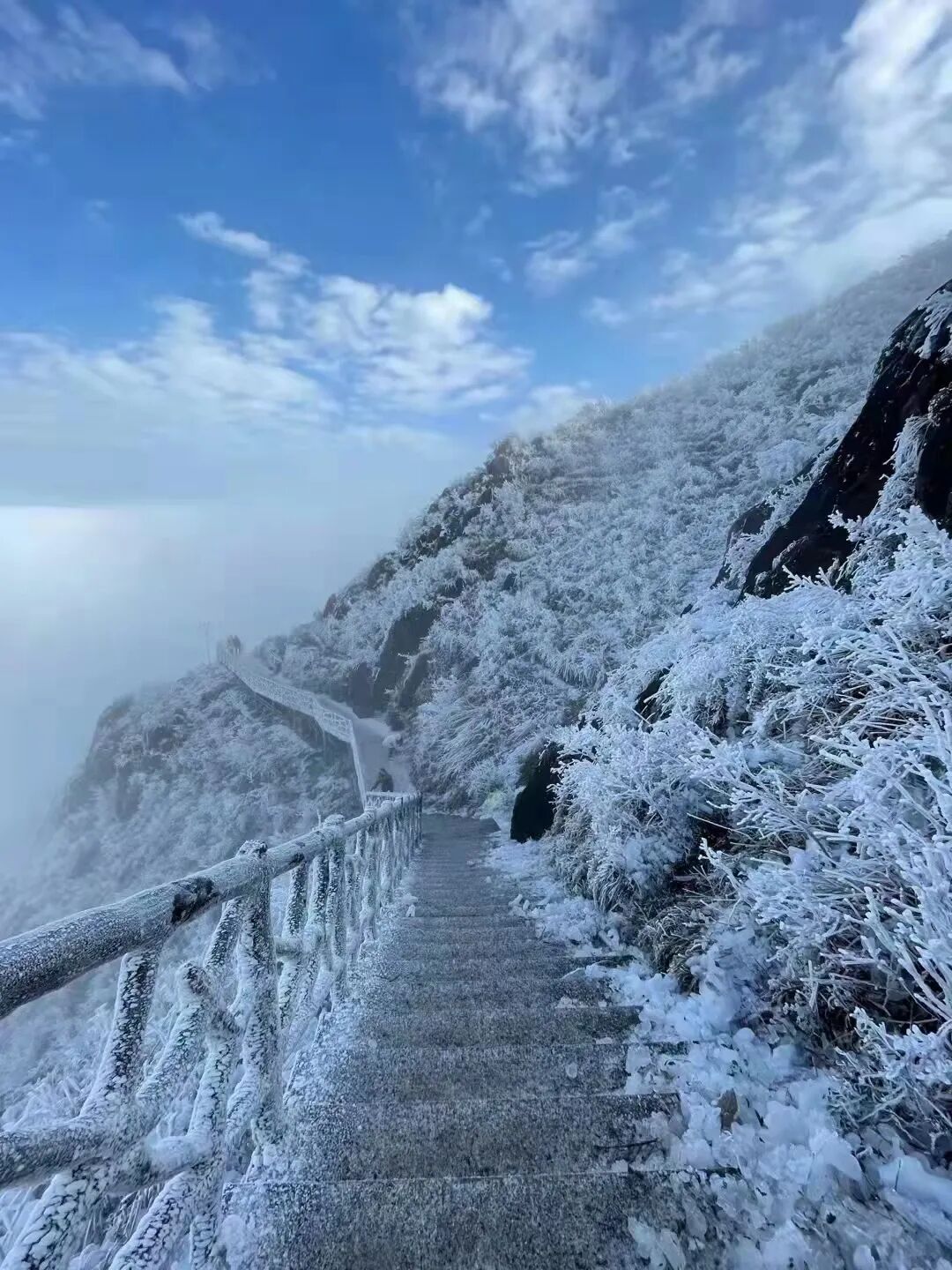 美若仙境广东自然保护地冰雪美景回顾