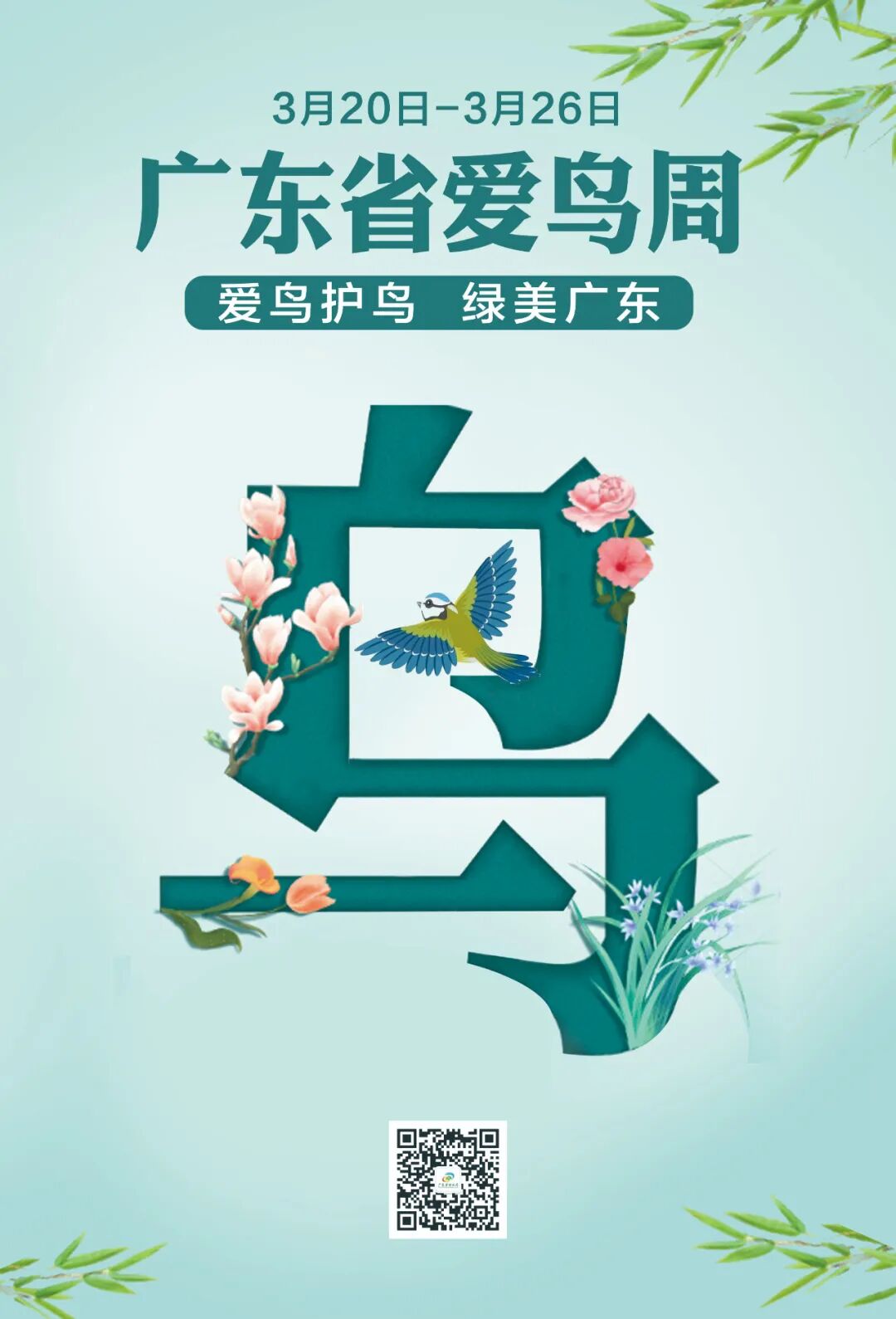广东启动第四十一届"鸟节""爱鸟周"活动