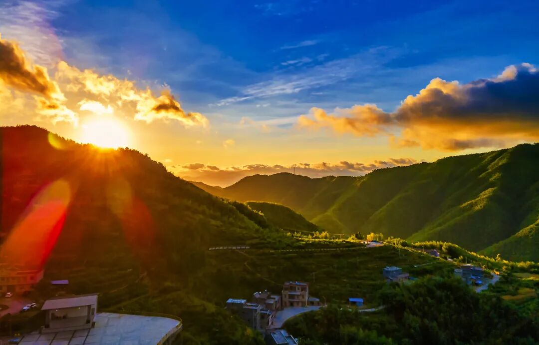 获奖名单出炉最美天然林公益林主题摄影评选结果公布