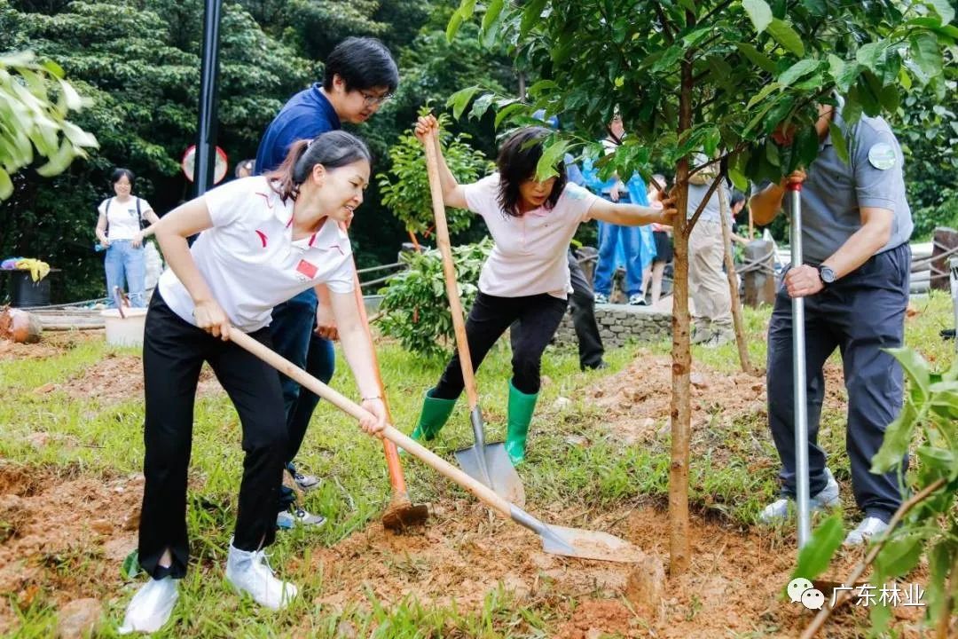 第四屆廣東林業騰訊網友植樹節成功舉辦