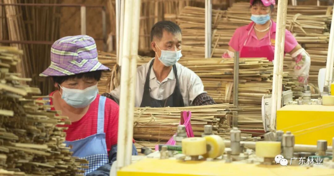 一条竹链能延多长广宁百万亩竹林铺就乡村振兴路