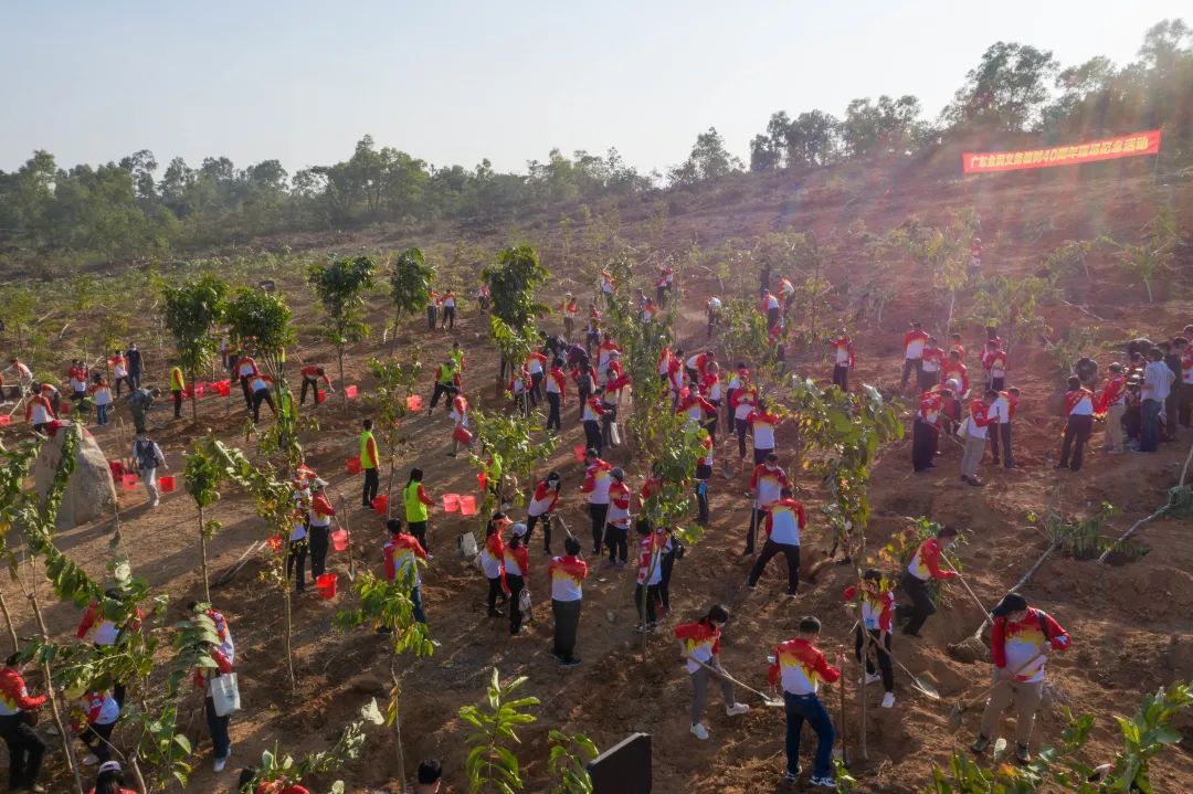 广东开展纪念全民义务植树运动40周年活动