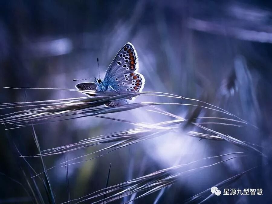 “我覺得我內心真正的覺察，改變，看見，綻放。應該是在去年周老師二階的課程后”。