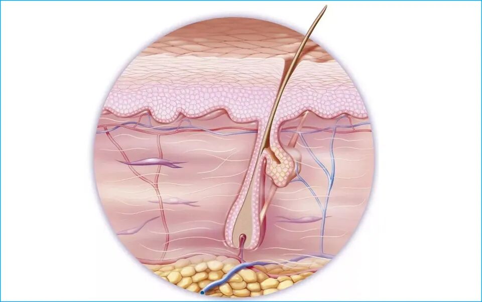 5道选择题，测出你的发质。