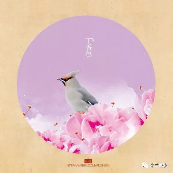 轩辕传奇名字颜色_颜色名字_yy名字颜色怎么改