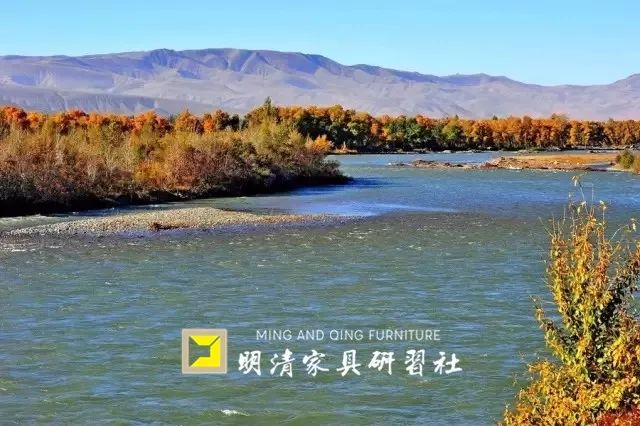 外星来客外形似“烤鸭”,146公斤,底价1.2亿 外星来客外形似“烤鸭”,146公斤,底价1.2亿