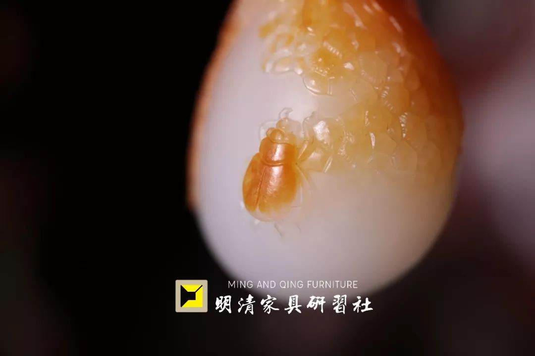 外星来客外形似“烤鸭”,146公斤,底价1.2亿 外星来客外形似“烤鸭”,146公斤,底价1.2亿