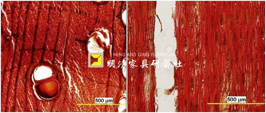 “红木”这个词,它只属于中国 “红木”这个词,它只属于中国