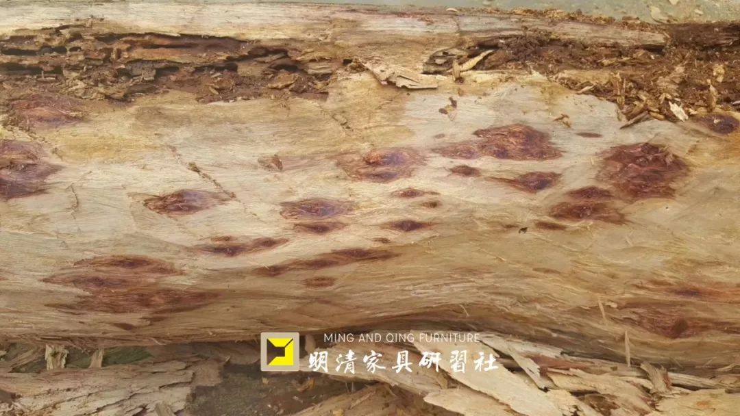 业内人士曝黑幕,揭秘家具“阴霾生态圈” 业内人士曝黑幕,揭秘家具“阴霾生态圈”