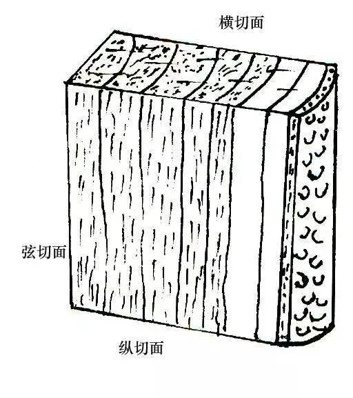 红木家具图片