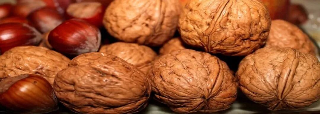 高血压用什么血压计为啥医生不建议高血压患者用这种血压计自测？到底哪种更准？_https://www.jmylbn.com_新闻资讯_第9张