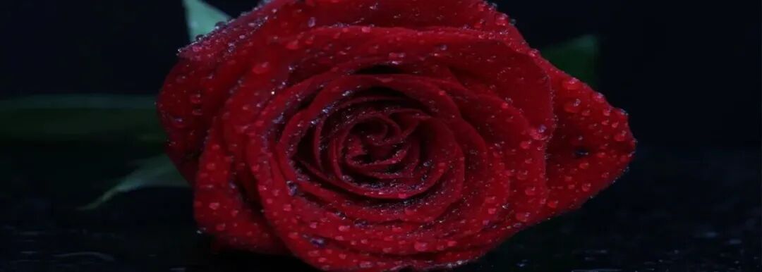 高血压用什么血压计为啥医生不建议高血压患者用这种血压计自测？到底哪种更准？_https://www.jmylbn.com_新闻资讯_第8张