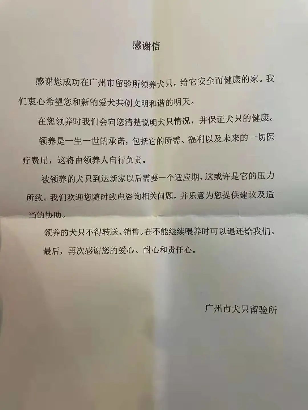“全网大宠爱”被剪牙的广州柴犬宝宝被正式领养啦!-微信头条网 “全网大宠爱”被剪牙的广州柴犬宝宝被正式领养啦!