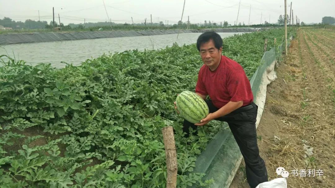 致富泥鳅养殖技术_泥鳅养殖户抱团致富_致富经泥鳅