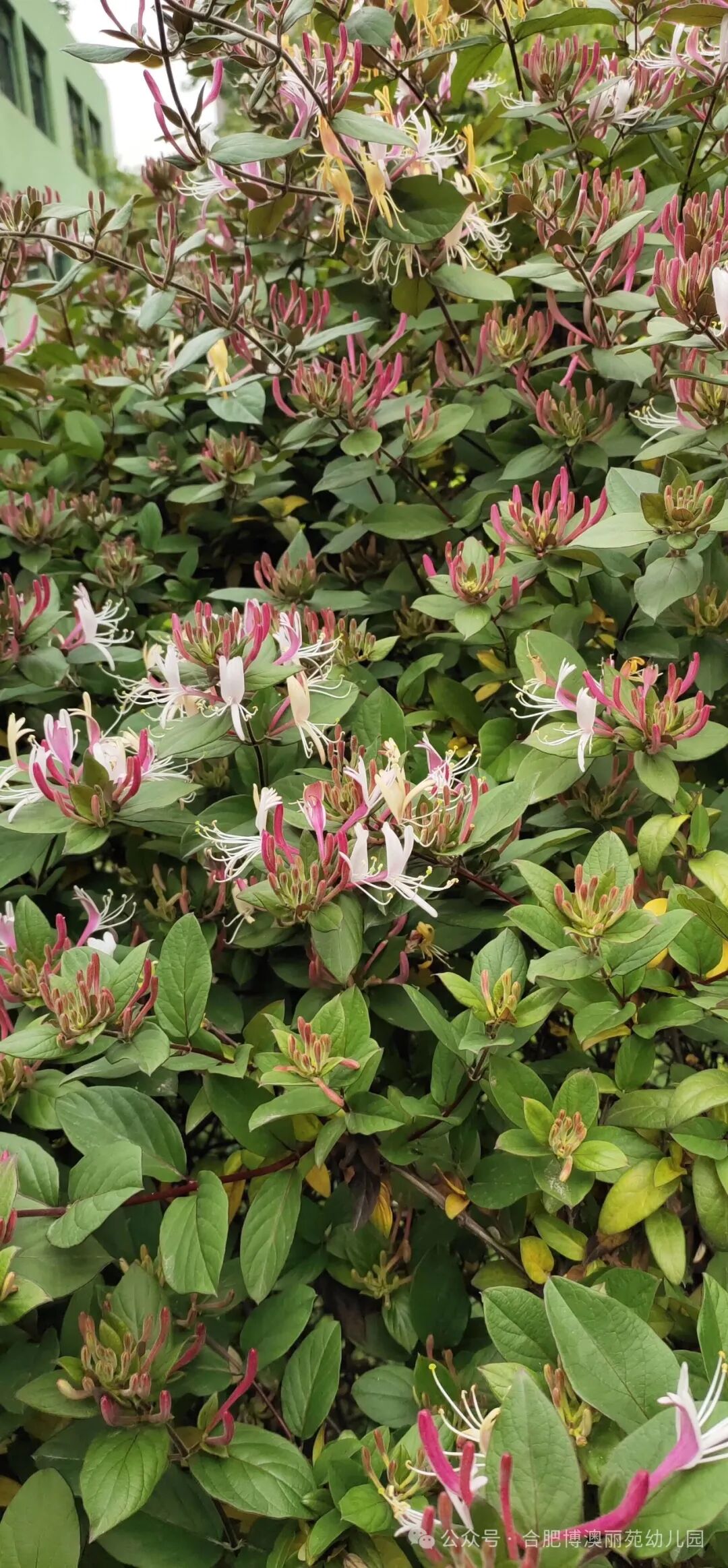 民新二手合肥领金分行房交工行融服融便易金创新潮流务引