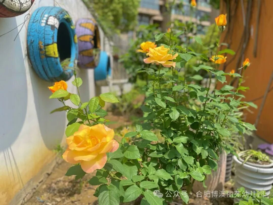 币辨人民中信伪竞银行赛合肥成功举办分行