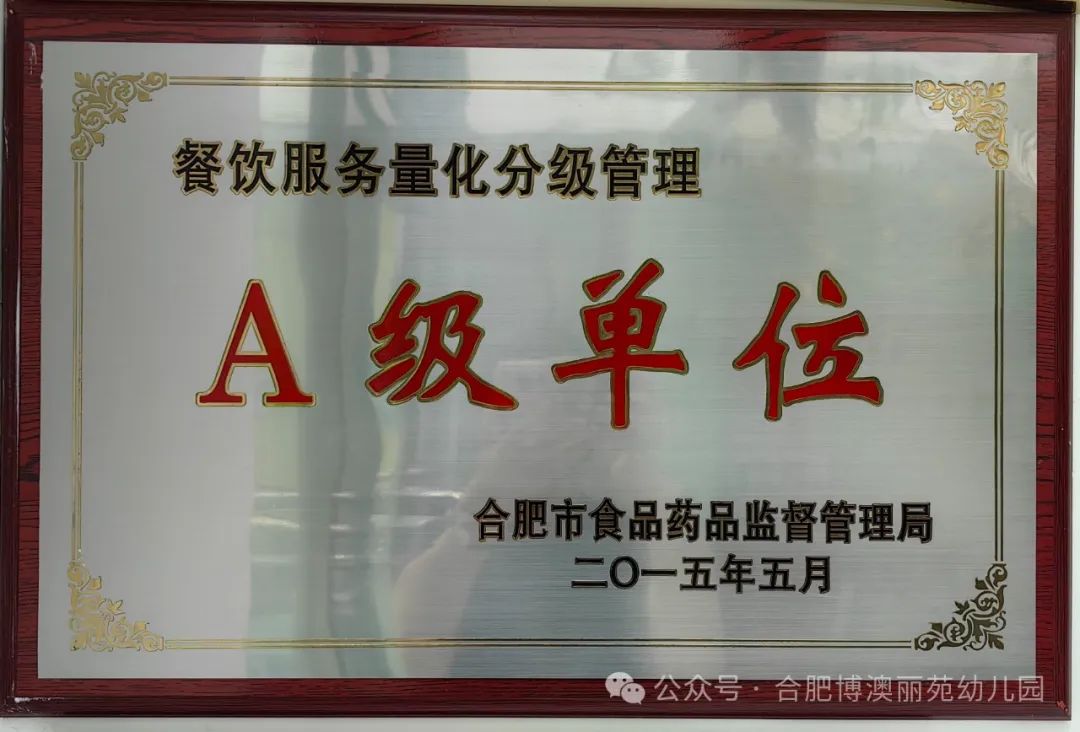 支行工行扬老人桃花特事特办肥西服务上门受赞