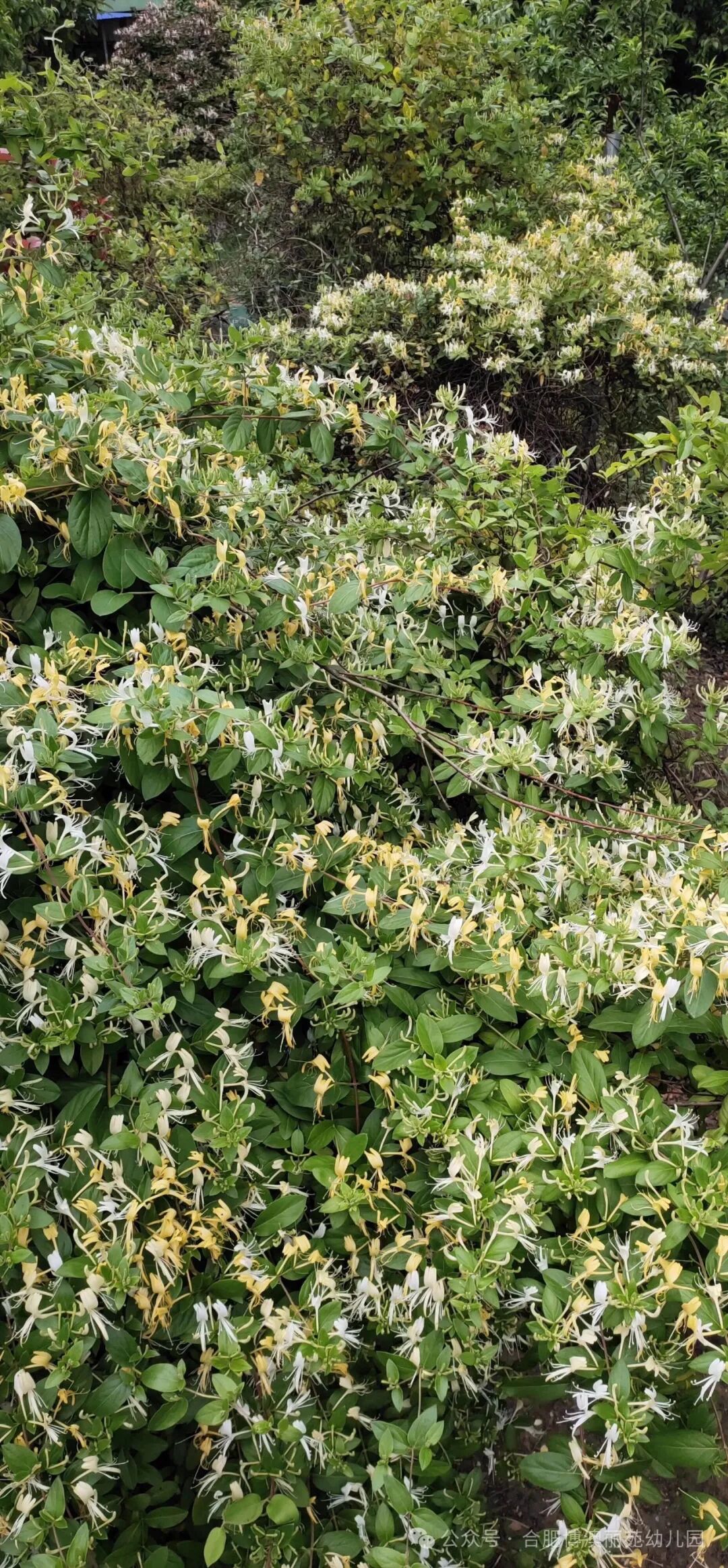 保畅务,民医展主题提服通县人宣讲党建党日院开引领医患汉阴活动沟通