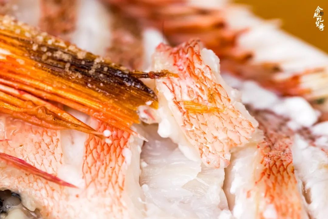 15層道路燒肉放題來了！人均200+怒刷石斑魚、活海膽、紐西蘭鰲蝦… 美食 第32張
