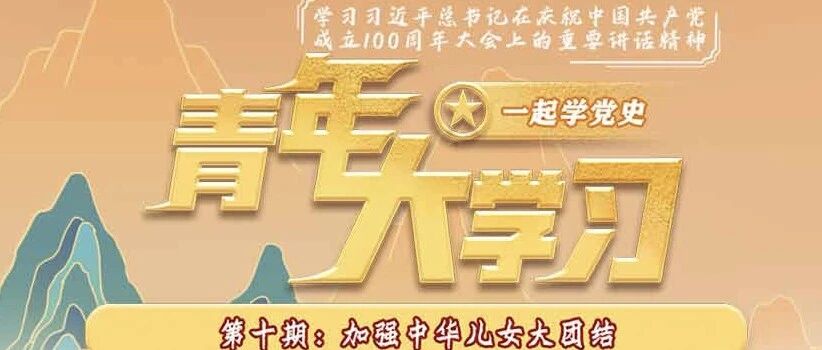青年大学习：加强中华儿女大团结