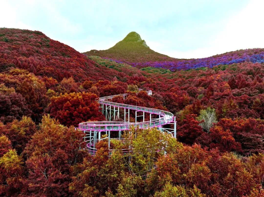 地址:鸡冠山景区铧子山地质森林公园电话:鸡冠山0451-57892322铧子山