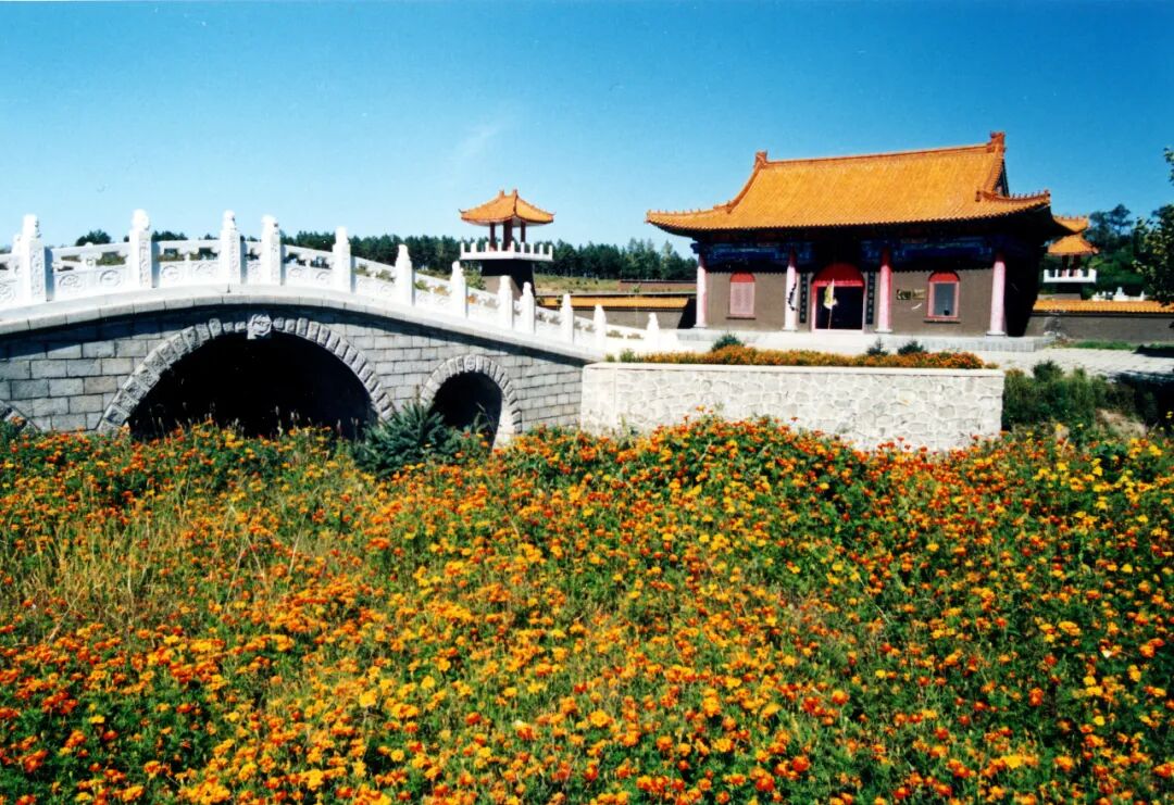 哈尔滨春日游阿城金朝古都文化游感受文化的熏陶