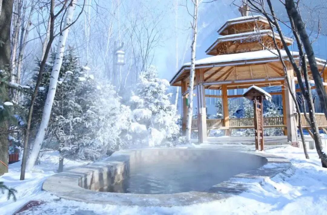 大雪原凤凰山冬季高山大雪原(高山花园),规划"赏雪,驰雪,嬉雪,滑雪,塑