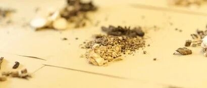 癌症到了晚期，很多人认为希望渺茫，其实希望一直都在