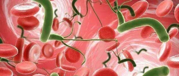 一人得病传全家！这个病会增加患癌几率，千万别因为是“小病”就不当回事