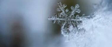 节气养生丨今日霜降，阳不入里，根基不稳！快学点规矩，平稳入冬~