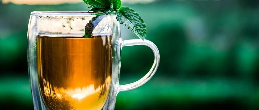 夏季水杯里最该泡的叶子就是它！醒脑、利咽、祛暑、防感冒丨世医堂说药食同源