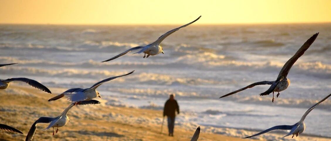 确定了，缺钙竟会伤血管！春季是补钙关键期，做好这三件事，补钙效果事半功倍！