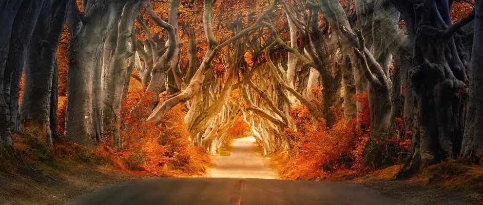 秋天到了，做好一事，整个秋天少得病！