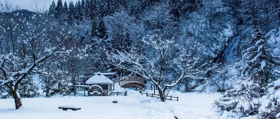 节气养生丨今日大雪，阴气最盛的时节，养生规矩你要懂